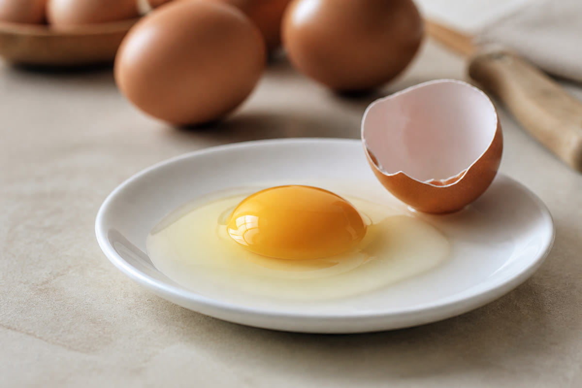 Œuf cassé dans une assiette pour vérifier le jaune et le blanc